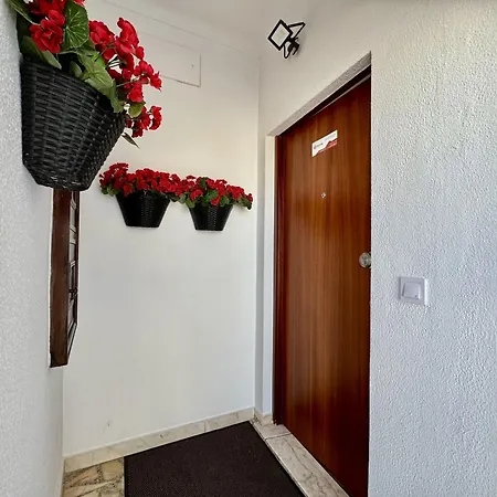 Appartement Shine By Homing